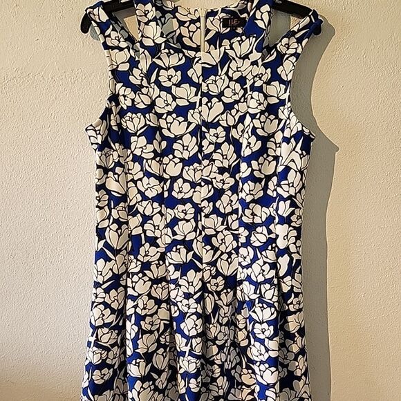 ILE New York Dress Sz 8 Blue & White Floral Patterned, Pleated Fit & Flare - Picture 4 of 6